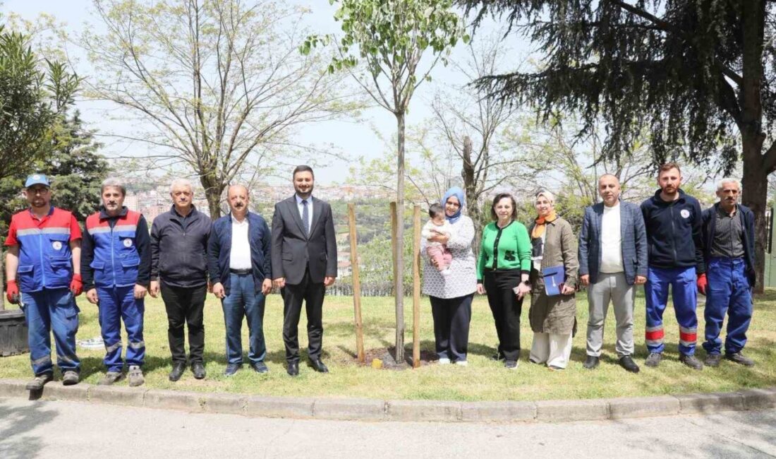 Kağıthane Belediyesinin çevre bilincini artırmak ve ilçedeki yeşil alanları çoğaltmak