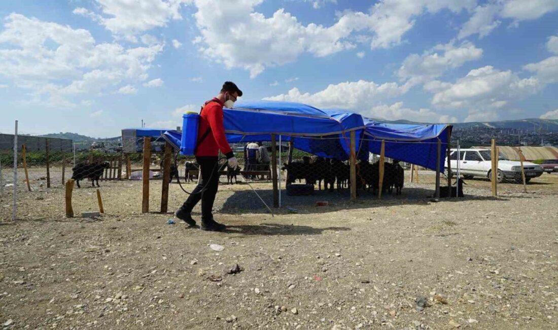 Kahramanmaraş’ta Kurban Bayramı süresince çevre temizliği, hayvansal atıkların toplanması, ilaçlama
