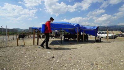 Kahramanmaraş’ta Kurban Bayramı süresince çevre temizliği, hayvansal atıkların toplanması, ilaçlama