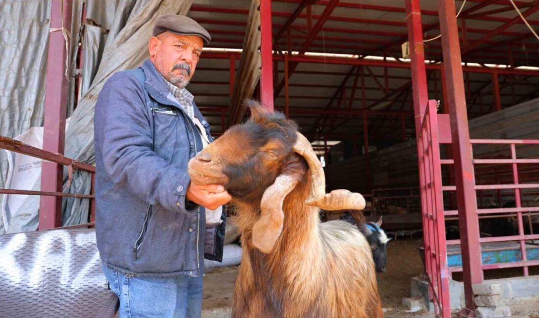 Kahramanmaraş’ta Kurban Bayramı öncesi yaklaşık 40 üyeden oluşan esnaf grubu,