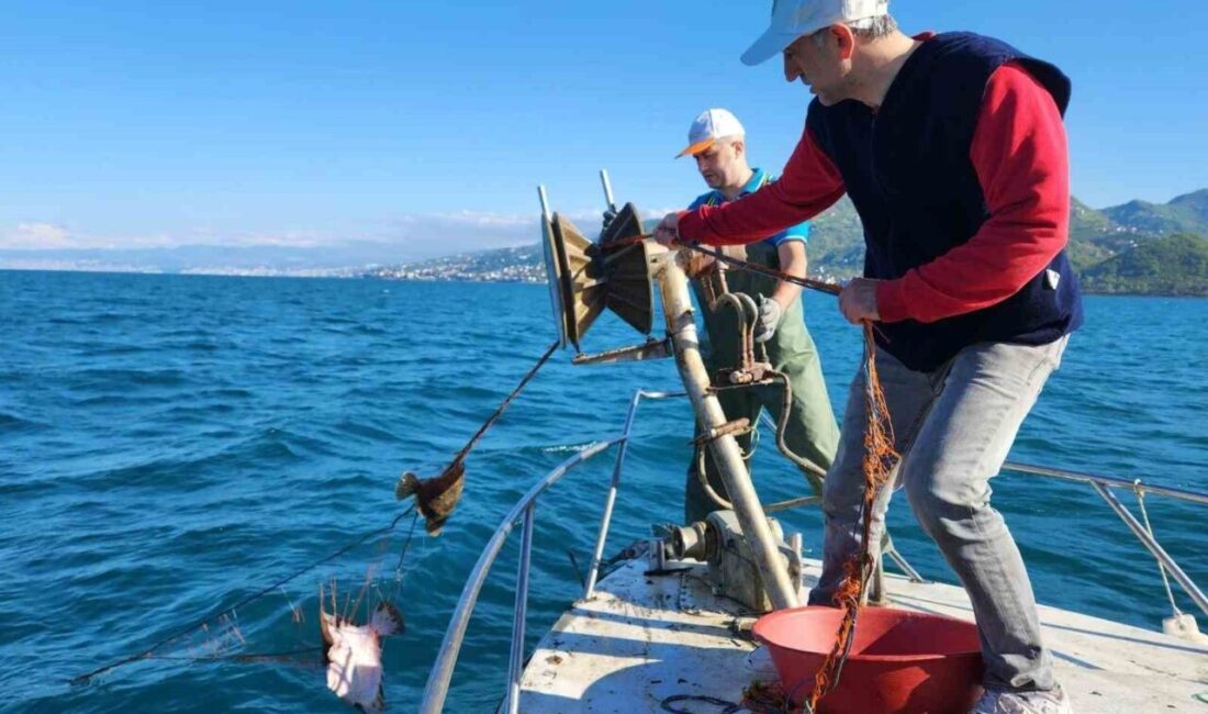 Trabzon’da kalkan balığı av yasağı kapsamında gerçekleştirilen denetimlerde yasa dışı