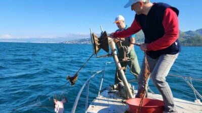 Trabzon’da kalkan balığı av yasağı kapsamında gerçekleştirilen denetimlerde yasa dışı