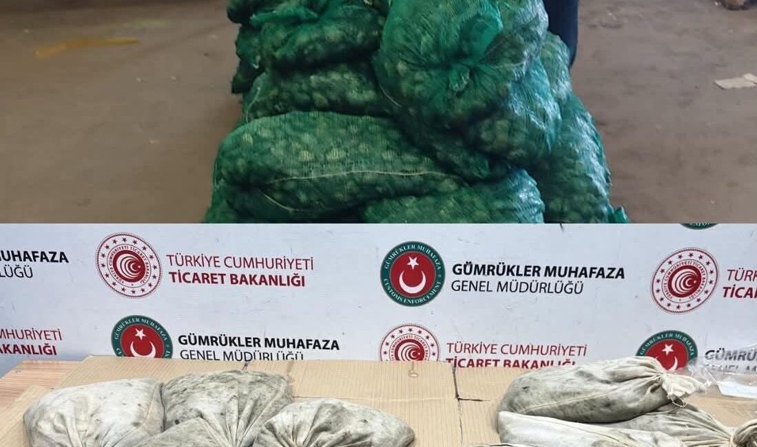 Edirne İl Tarım ve Orman Müdürlüğü ve Gümrük Muhafaza Müdürlüğü