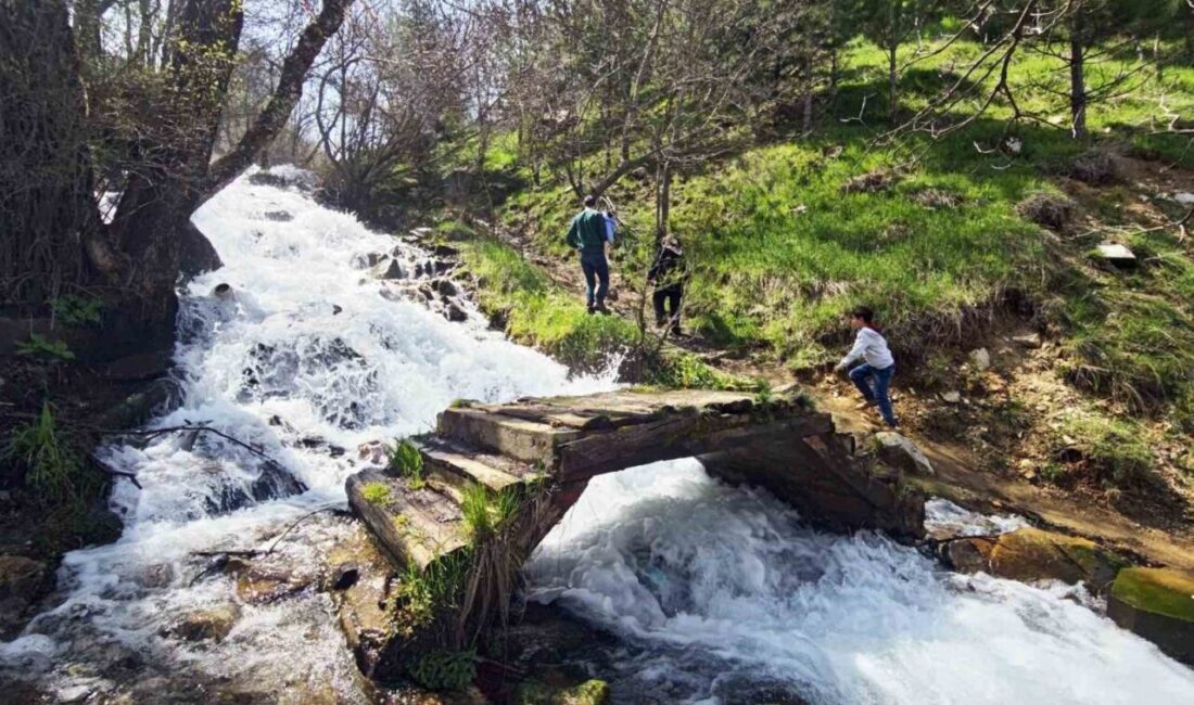 Bitlis’in Mutki ilçesinde bulunan ve tamamen eriyen kar sularından beslenen
