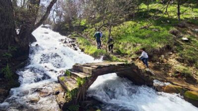Bitlis’in Mutki ilçesinde bulunan ve tamamen eriyen kar sularından beslenen