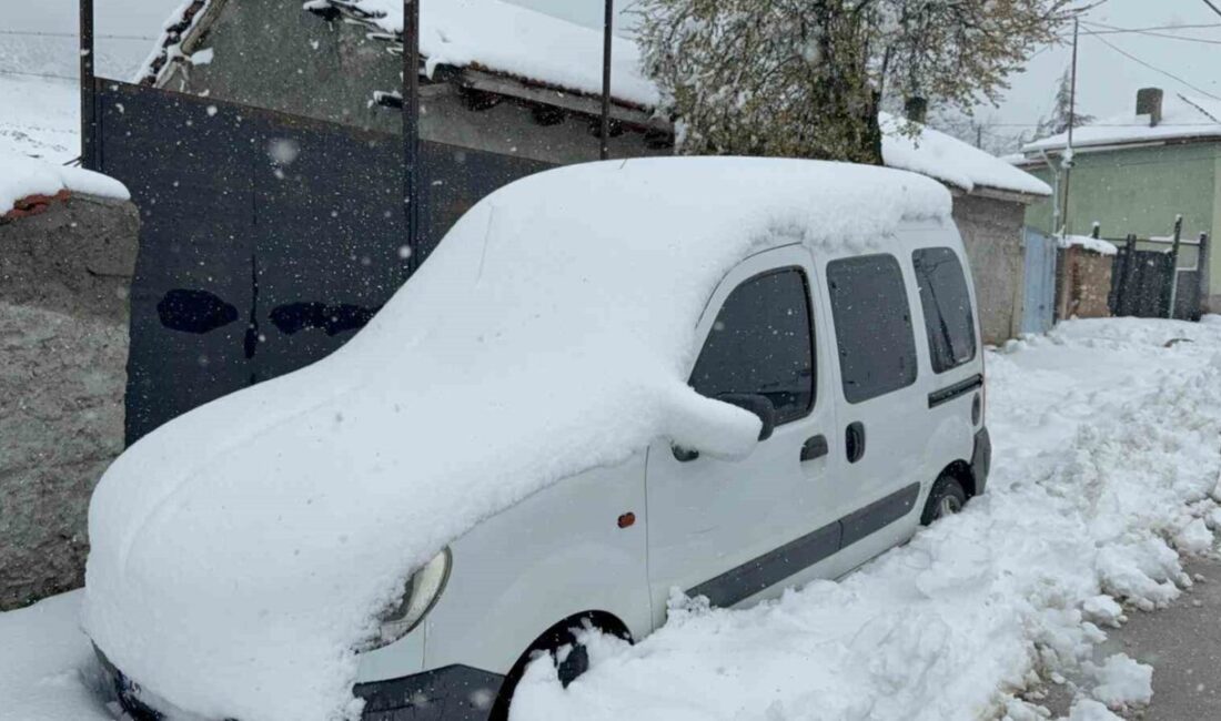 Eskişehir’in Seyitgazi ilçesi Şükranlı mahallesi, dün gece etkili olan ve