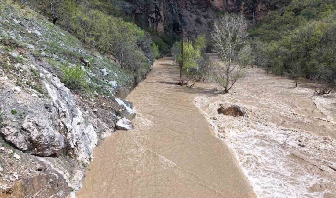 Tunceli’de karların erimeye başlaması ve yağışların sürmesiyle birlikte Munzur Nehri’nin