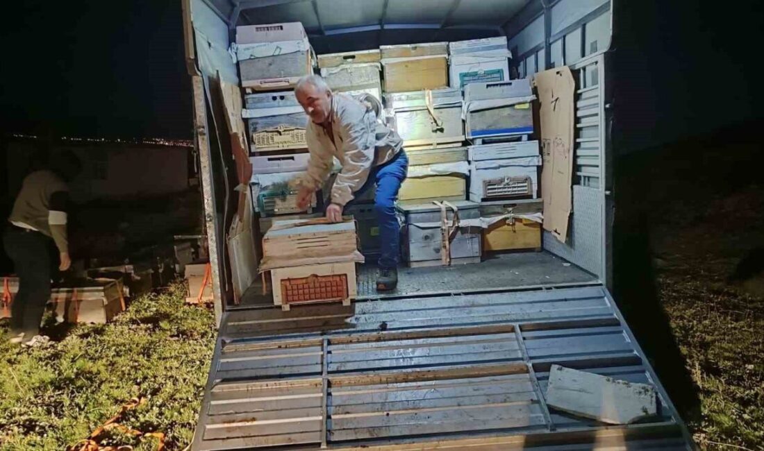 Karadeniz Bölgesi’nin gezgin arıcıları, yeni sezon çiçek balı üretimi için