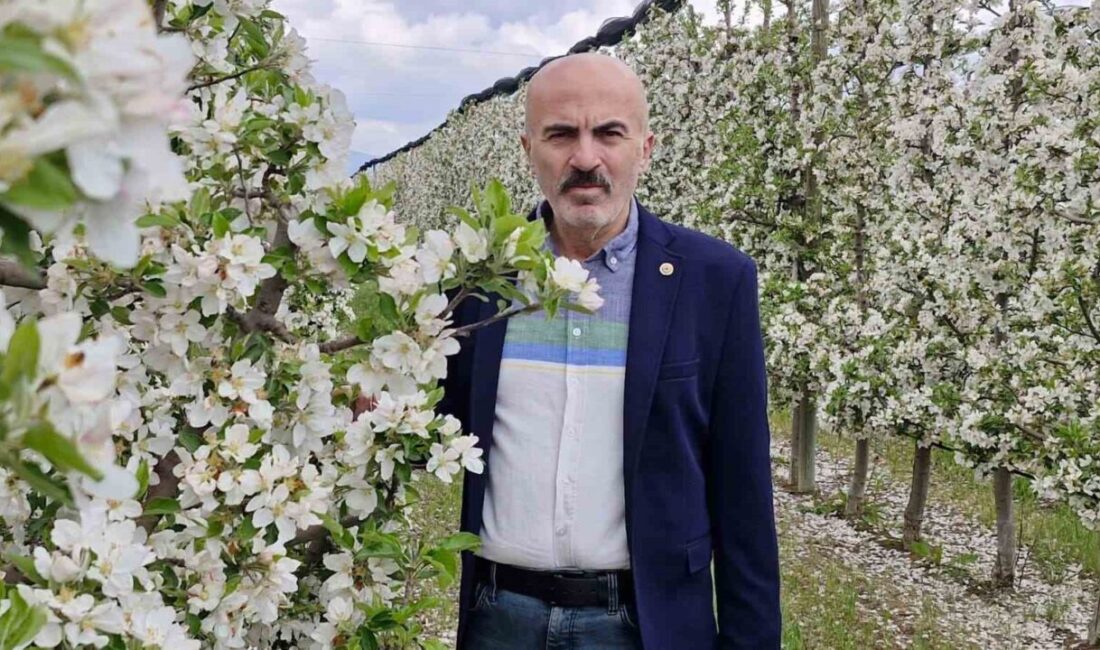 Karaman Ziraat Odası Başkanı Mehmet Bayram, bu yıl elma bahçelerinde