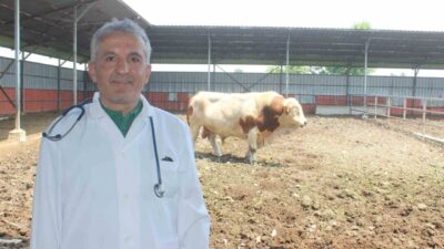 DÜZCE(İHA) – Düzce Veteriner Hekimleri Odası Başkanı Şerif Ali Karanfil,