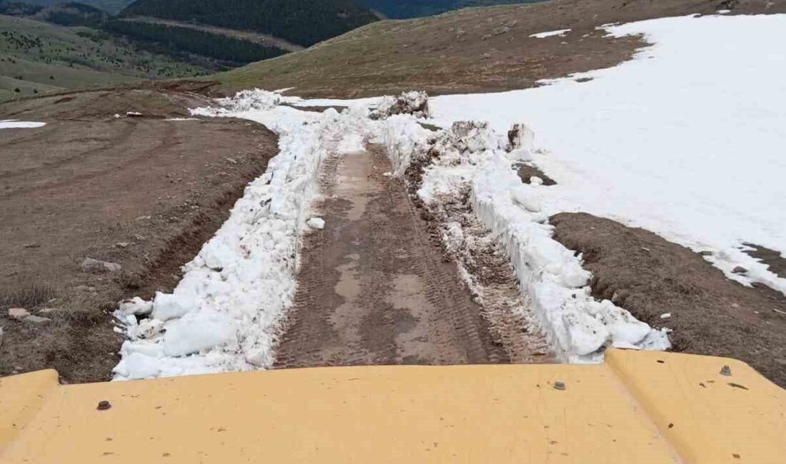 Posof yaylası yolunda kış nedeniyle oluşan kar birikintileri, belediye ekiplerinin