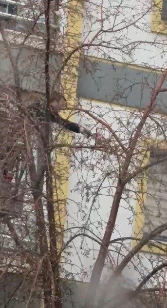 Kars’ta bir ağacın dallarına takılarak mahsur kalan güvercin, itfaiye ekiplerince