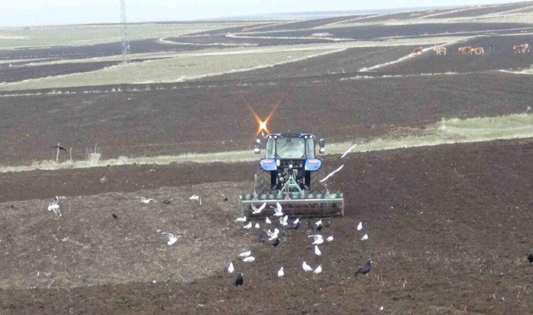 Kars’ta bu yıl mevsim normallerinin üzerinde seyreden soğuk hava ve