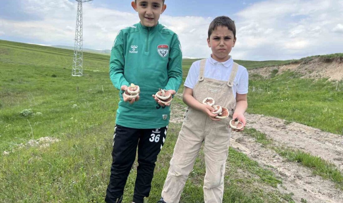 Arpaçay’da aileleriyle birlikte bayram ziyaretine gelen çocuklar, doğada hem mantar