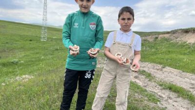 Arpaçay’da aileleriyle birlikte bayram ziyaretine gelen çocuklar, doğada hem mantar