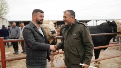 Kastamonu Hayvan Pazarı yaklaşan Kurban Bayramı’yla birlikte hareketlenirken pazarın gözdesi