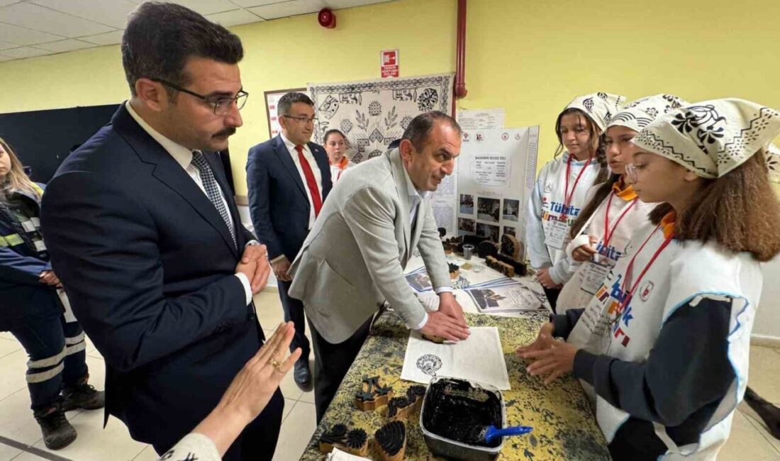 Kastamonu’nun Hanönü ilçesinde öğrenciler tarafından yıl boyunca yapılan projeler, düzenlenen