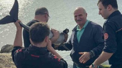 Samsun’un Bafra ilçesinde sahilde kayalıklara sıkışan yunus, polis memuru tarafından