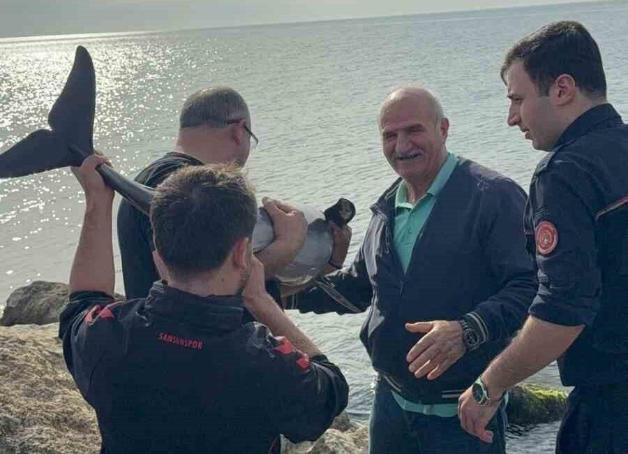 Samsun’un Bafra ilçesinde sahilde kayalıklara sıkışan yunus, polis memuru tarafından