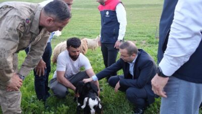 ŞIRNAK (İHA) – Şırnak’ın Cizre İlçe Kaymakamı Ahmet Vezir Baycar,