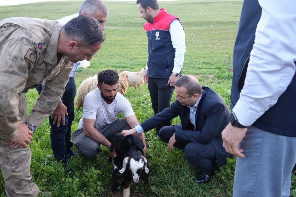 ŞIRNAK (İHA) – Şırnak’ın Cizre İlçe Kaymakamı Ahmet Vezir Baycar,