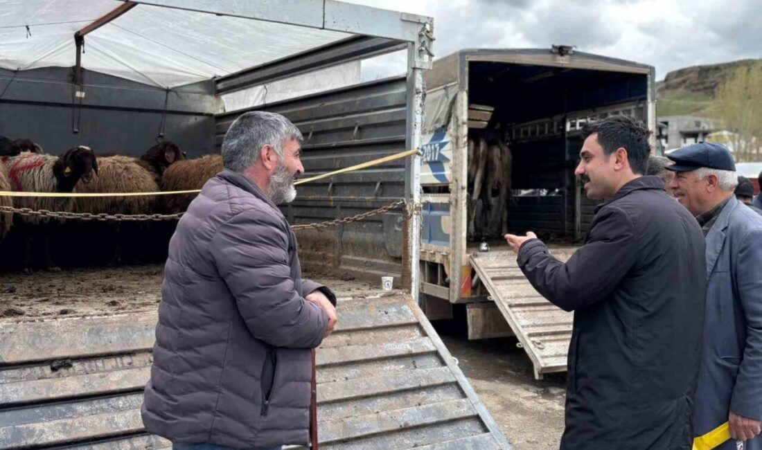 Kars’ın Susuz ilçesinde Kurban Bayramı hazırlıkları sürerken, Susuz Kaymakamı Muhammed
