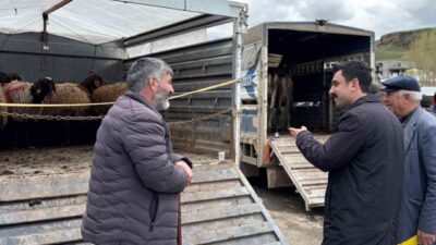 Kars’ın Susuz ilçesinde Kurban Bayramı hazırlıkları sürerken, Susuz Kaymakamı Muhammed