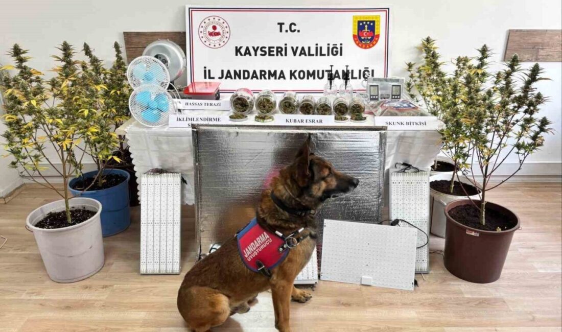 Kayseri İl Jandarma Komutanlığı ekiplerince yapılan çalışmalarda 830 gram uyuşturucu