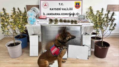 Kayseri İl Jandarma Komutanlığı ekiplerince yapılan çalışmalarda 830 gram uyuşturucu