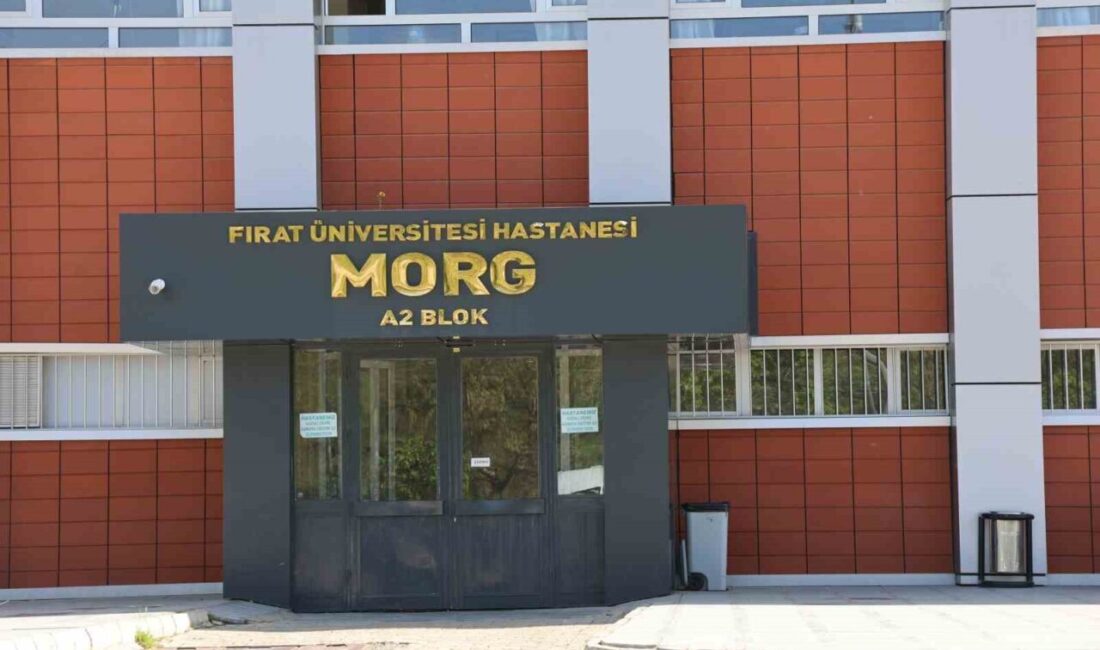 Elazığ’da tüfekle oynadığı sırada kazara kendini vuran ve ağır yaralanan
