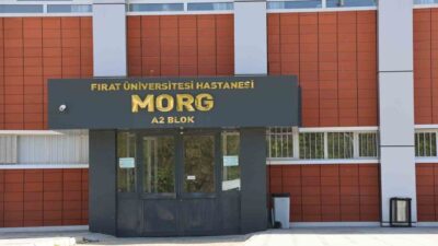 Elazığ’da tüfekle oynadığı sırada kazara kendini vuran ve ağır yaralanan