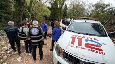 Balıkesir’in Edremit ilçesinde, Kazdağları Hasanboğuldu mevkii Dökük bölgesinde dünden beri