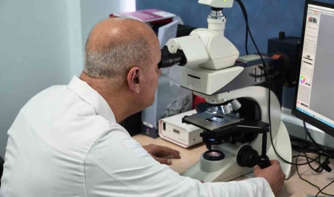 Karabük Üniversitesi Tıp Fakültesinde yürütülen ve TÜBİTAK tarafından desteklenen deneysel