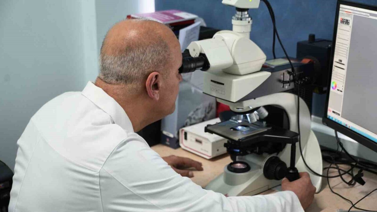 Karabük Üniversitesi Tıp Fakültesinde yürütülen ve TÜBİTAK tarafından desteklenen deneysel