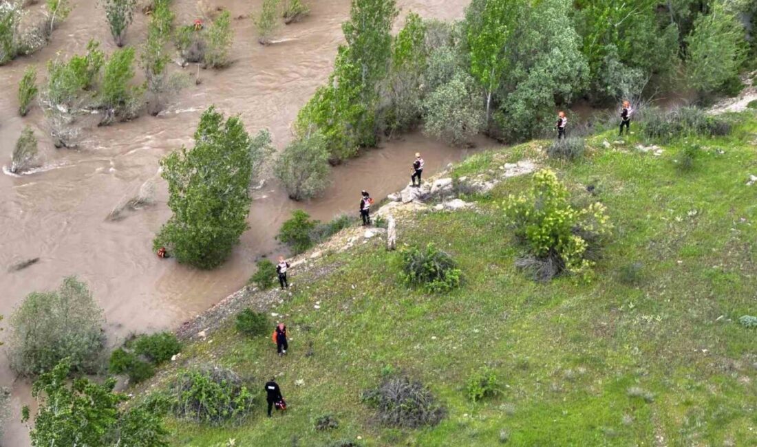 Sivas’ın Koyulhisar ilçesinde meydana gelen trafik kazasının ardından şok geçirerek,