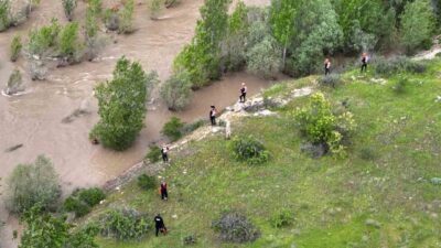 Sivas’ın Koyulhisar ilçesinde meydana gelen trafik kazasının ardından şok geçirerek,