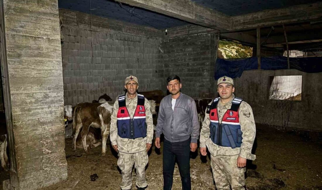 Kilis’in Merkez ilçesine bağlı Çakallıpınar köyünde ikamet eden M.S.K. (31),