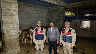 Kilis’in Merkez ilçesine bağlı Çakallıpınar köyünde ikamet eden M.S.K. (31),