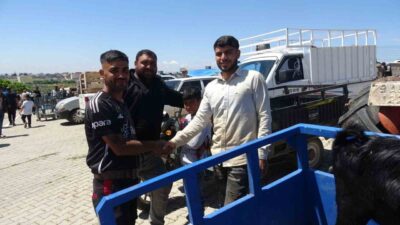 Kurban Bayramı’na sayılı günler kala Kilis’te canlı hayvan pazarlarında hareketlilik