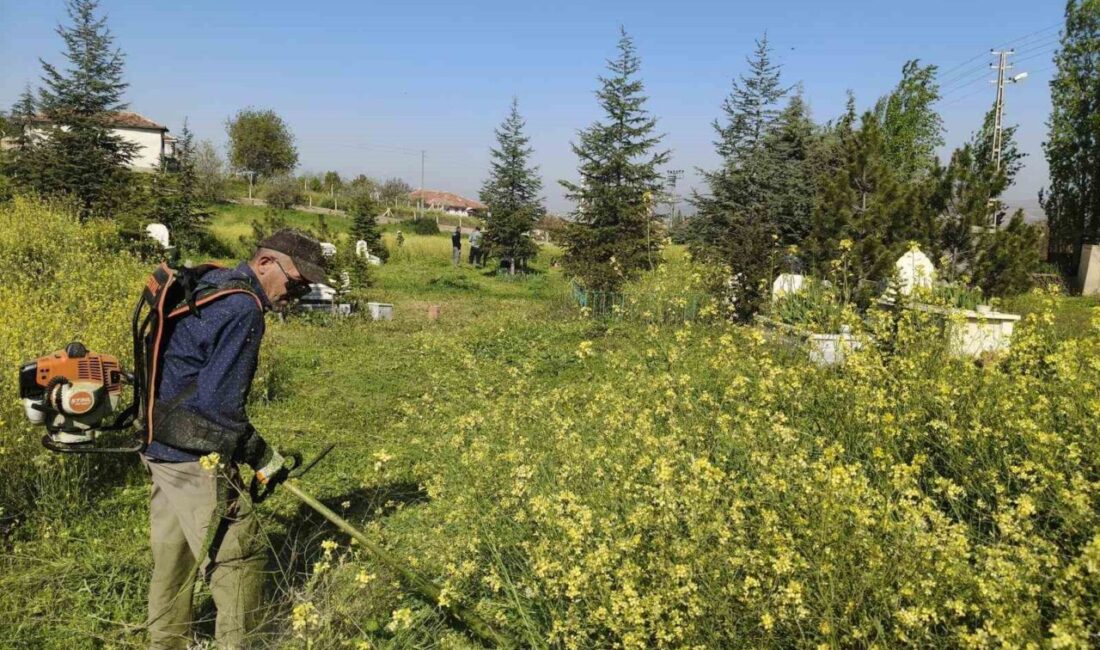Kırıkkale Belediyesi ekipleri, Aşağı Mahmutlar Mahallesi’nde bulunan mezarlıkta ot biçme