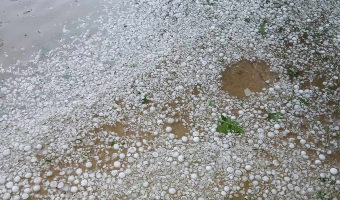 Kırklareli merkez ilçeye bağlı Dokuzhöyük köyünde etkili olan dolu yağışı,