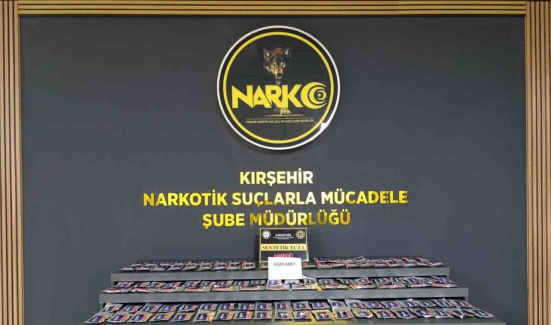 KIRŞEHİR (İHA) – Kırşehir’de polis ekipleri tarafından yapılan çalışmalarda 6