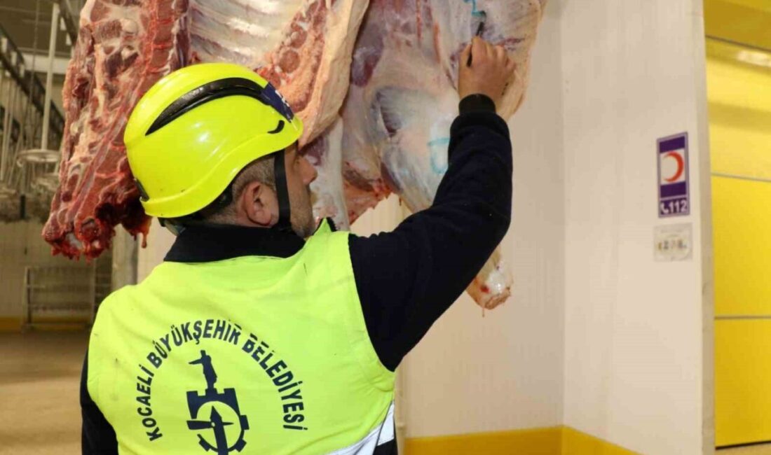 Kocaeli Büyükşehir Belediyesi, Kurban Bayramı’nda kesilen hayvanlara ait hastalıklı organ