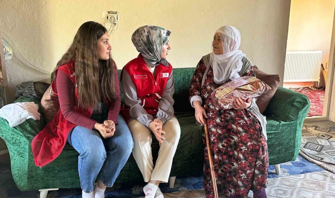 Kızılay Muradiye Şubesi gönüllüleri tarafından ilçede yaşayan annelere yönelik Anneler