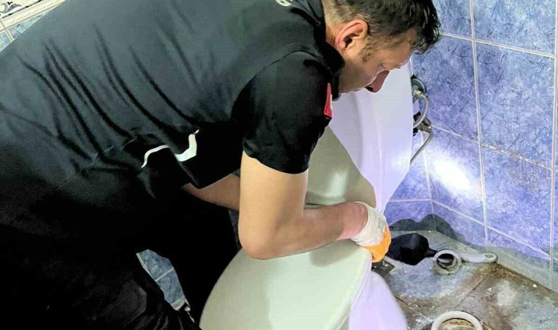 Nevşehir’de banyoda açık bırakılan klozete düşen yavru kedi, itfaiye ekiplerinin