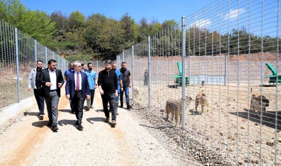 Kocaeli Büyükşehir Belediyesi tarafından Umuttepe bölgesinde inşası 2,5 ay gibi