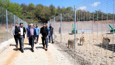 Kocaeli Büyükşehir Belediyesi tarafından Umuttepe bölgesinde inşası 2,5 ay gibi