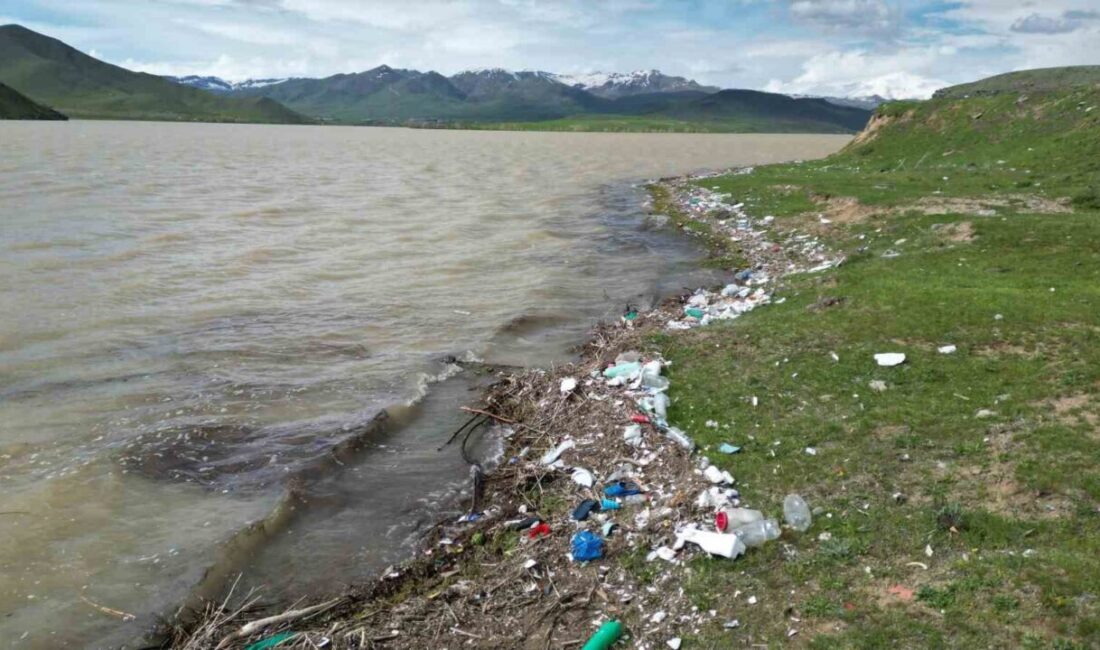 Van’ın Erciş ilçesinde bulunan Koçköprü Barajı, sorumsuz kişilerce etrafa atılan