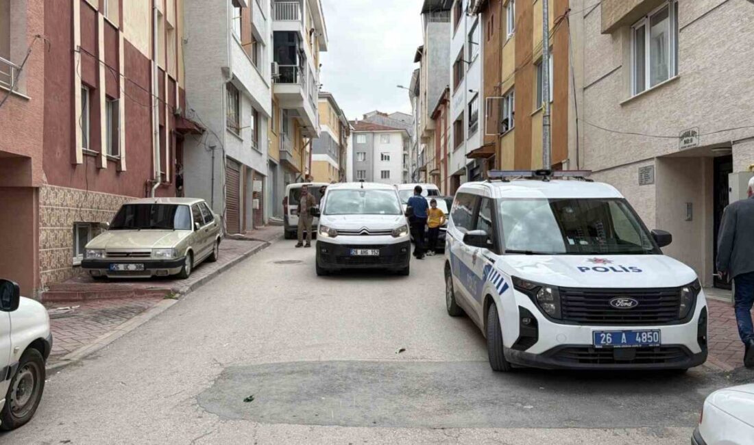 Eskişehir’de kombi bakımına gittiği bir evin sahibi ve komşusuyla kavga