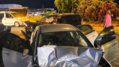Aydın’ın Söke ilçesinde yola çıkan köpeğe çarpan otomobilin kontrolden çıkıp